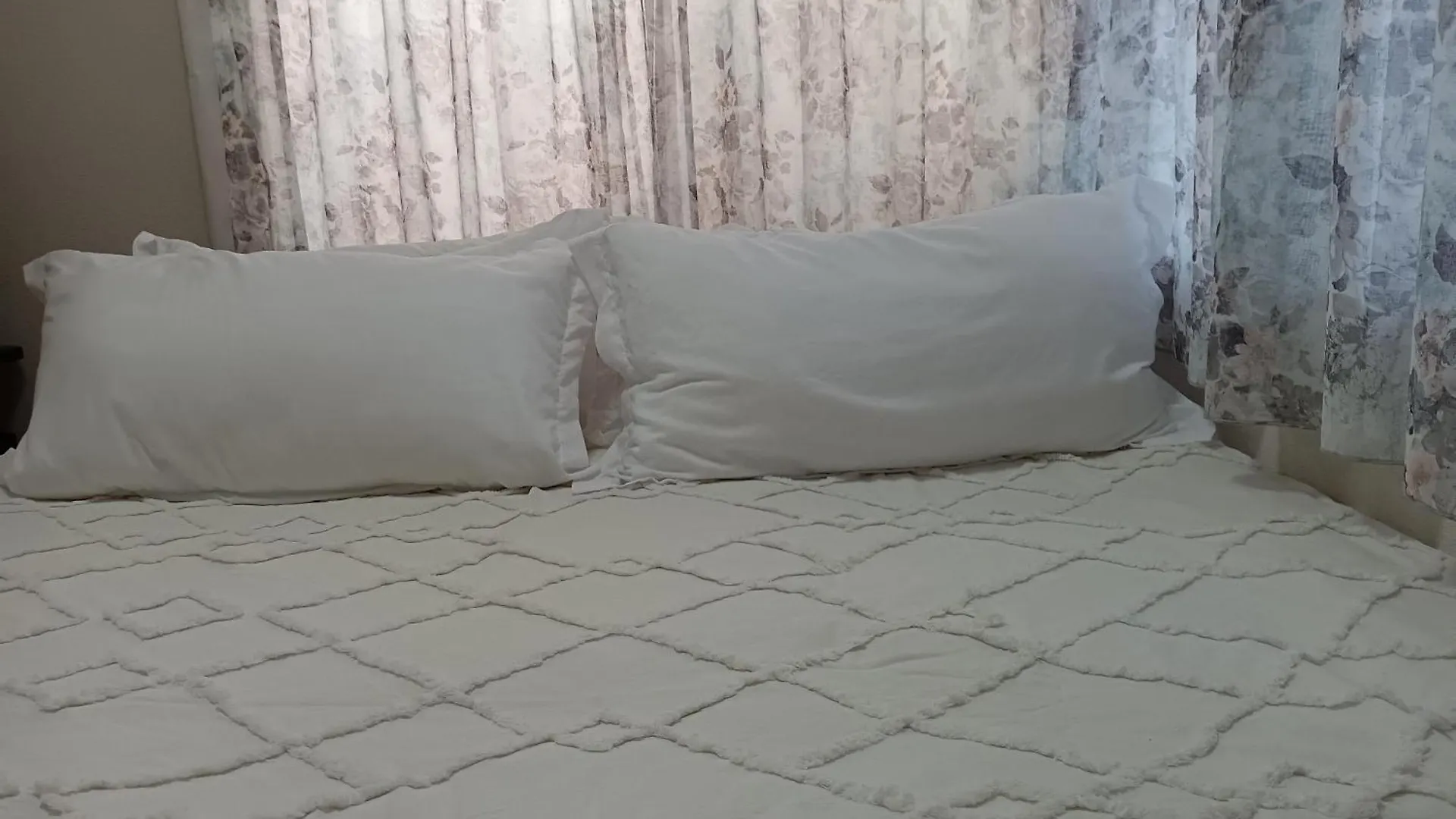 Tokyo Downtown Bed & Breakfast