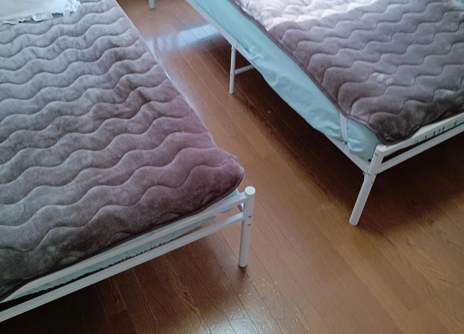 Tokyo Downtown Bed & Breakfast