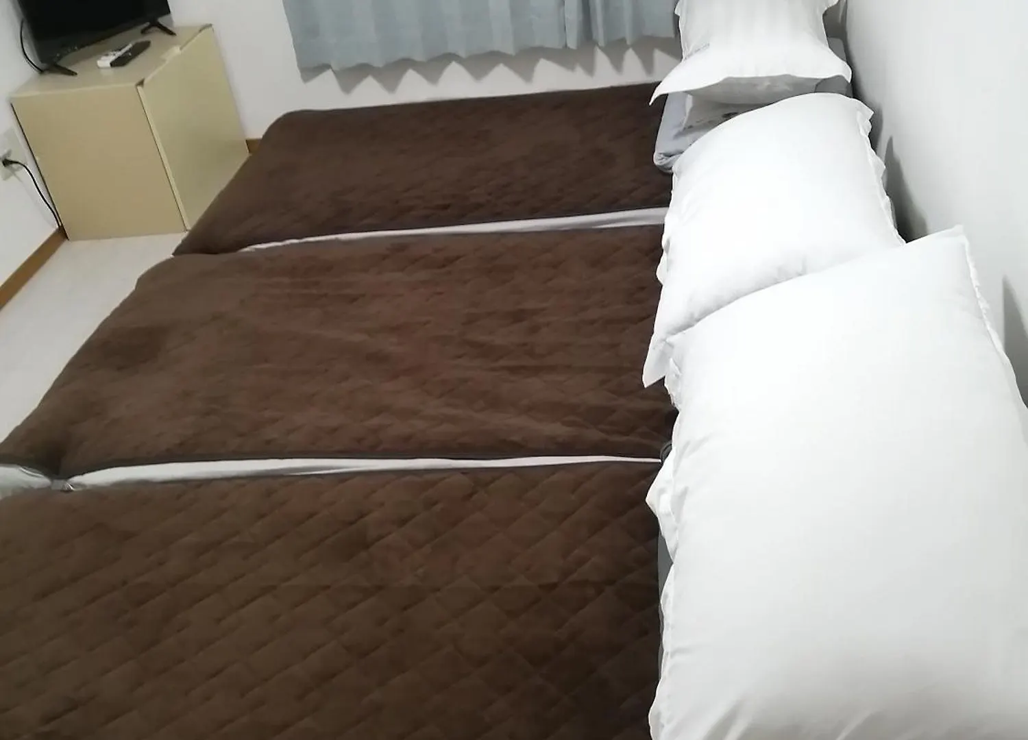 Tokyo Downtown Bed & Breakfast 0*,