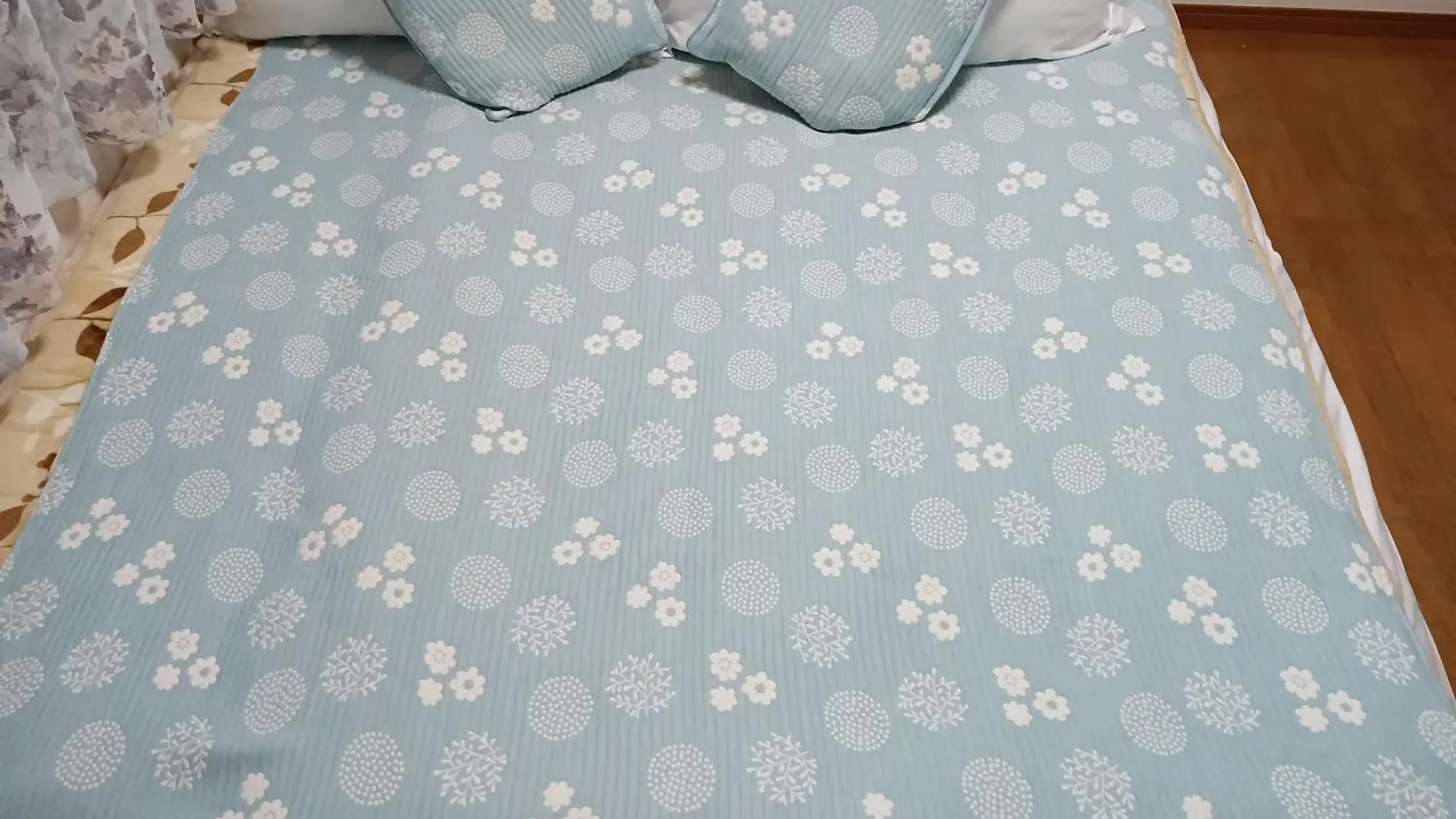 Homestay Tokyo Downtown Bed & Breakfast Japan