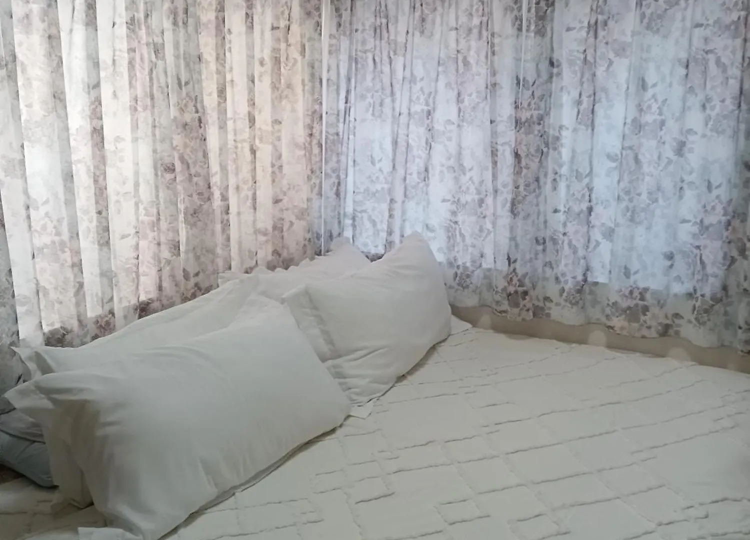 Tokyo Downtown Bed & Breakfast Homestay