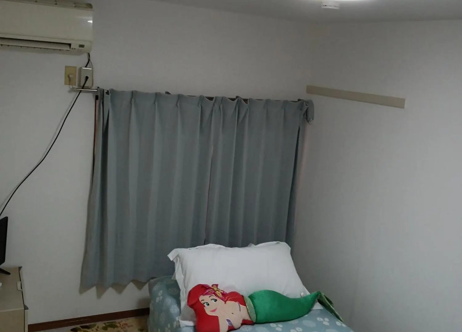 Tokyo Downtown Bed & Breakfast Japan