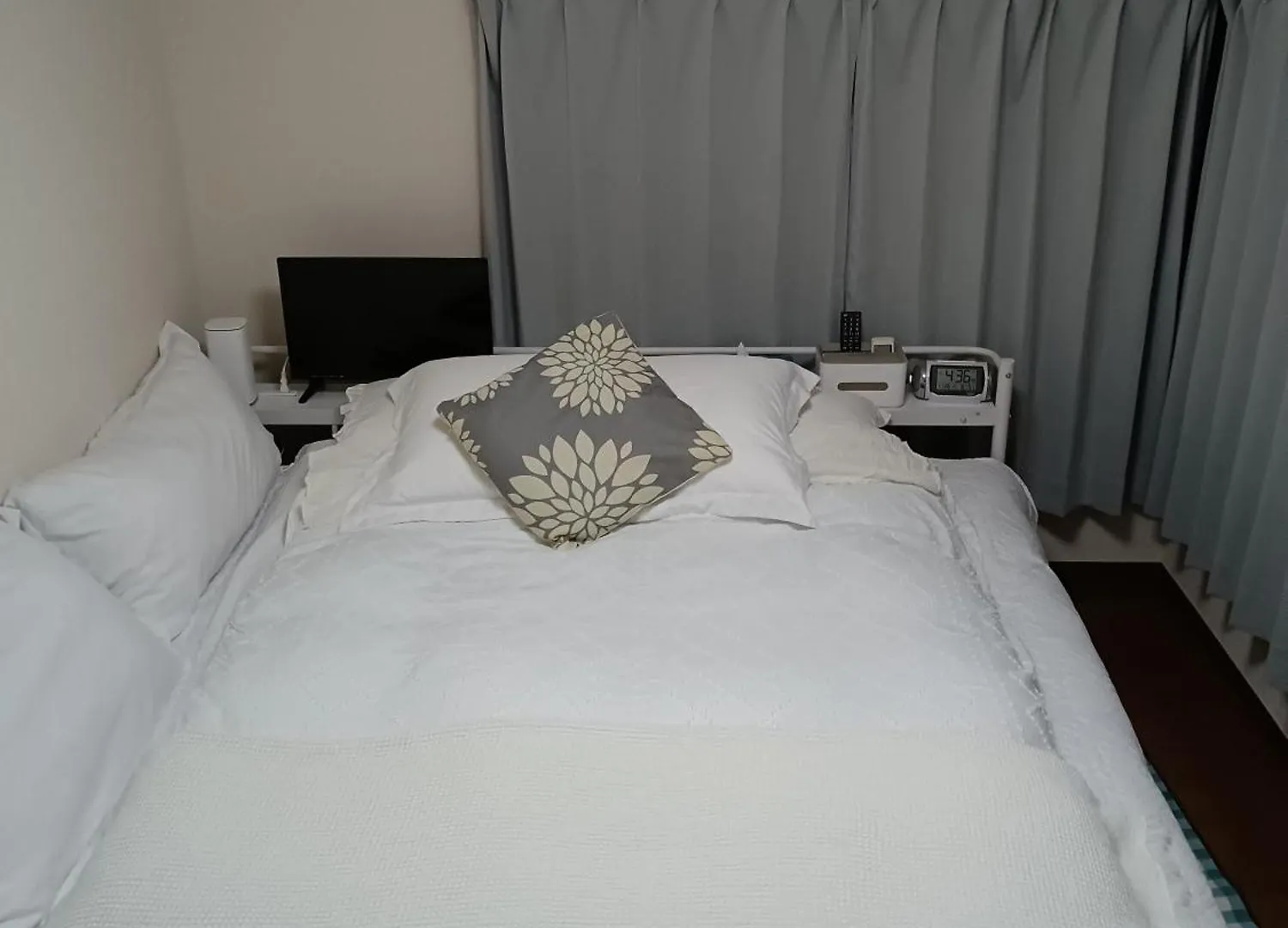 Tokyo Downtown Bed & Breakfast 0*,  Japan